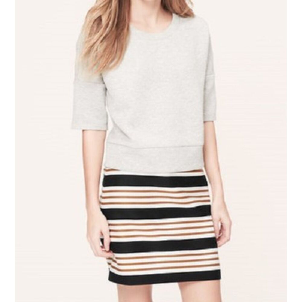 LOFT Striped Mini Skirt (Blue White Brown) Lined Sz 4P NWOT